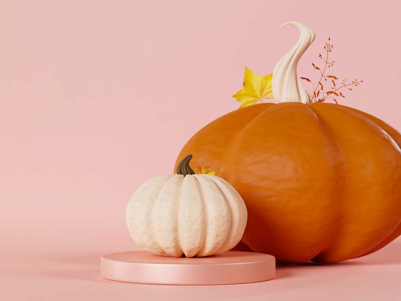 A large orange pumpkin and a small white pumpkin sitting on a pink surface
