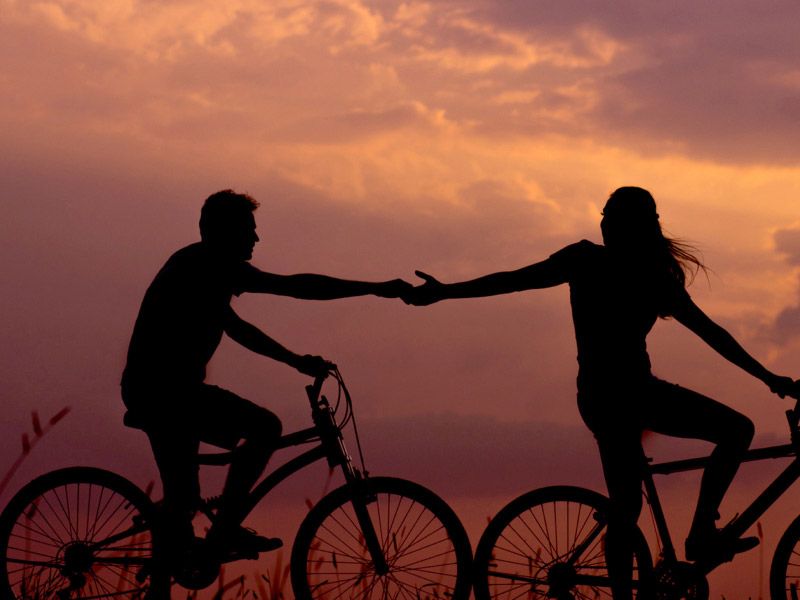 silhouettes of a couple holding hands on bicycles