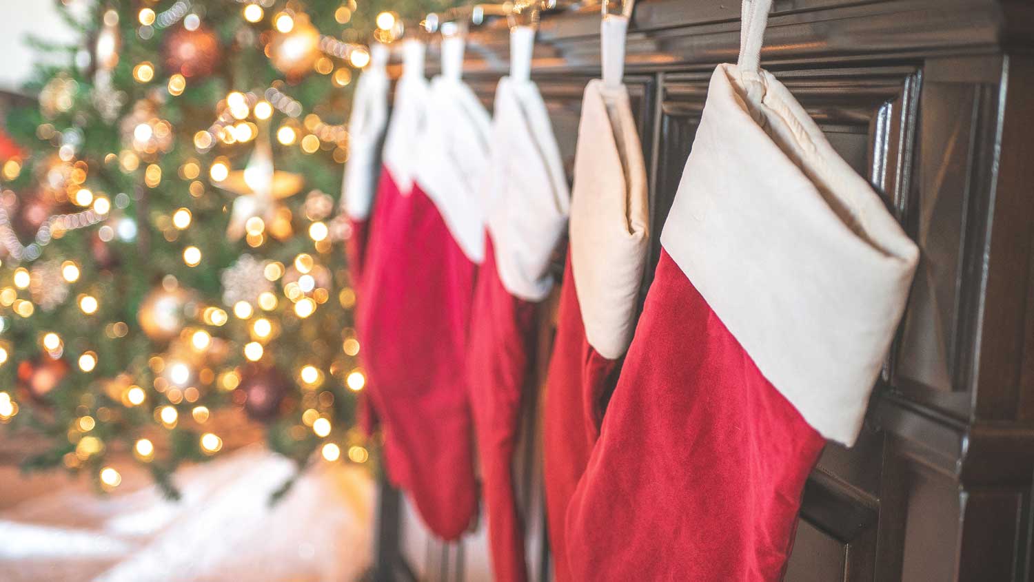 Several stockings hung on a fireplace with a christmas tree in the background