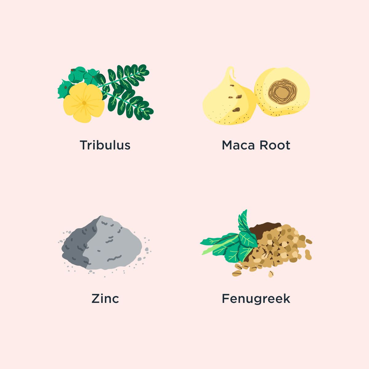 Graphic of illustrated ingredients on a cream background