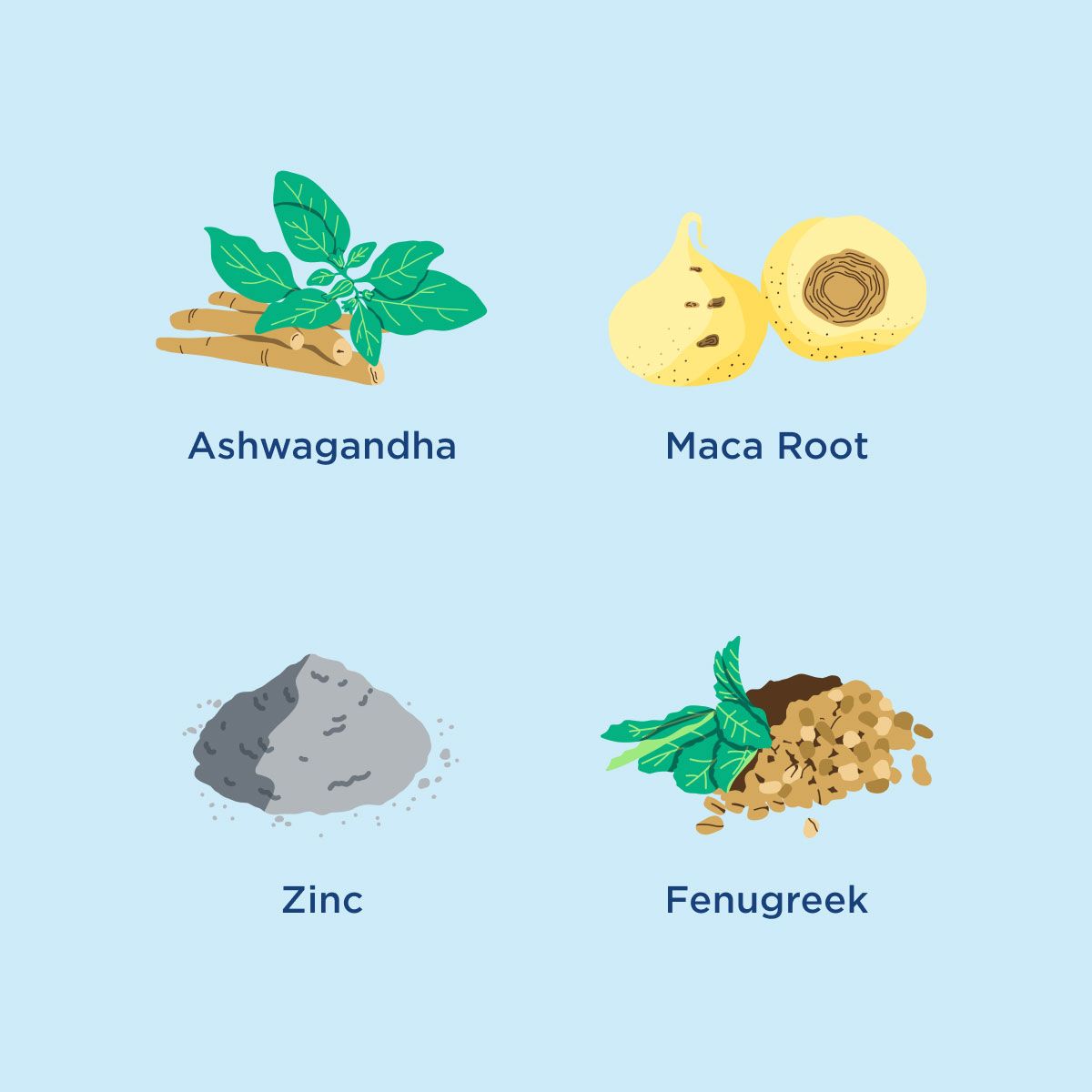 Graphic if illustrated ingredients on a light blue background