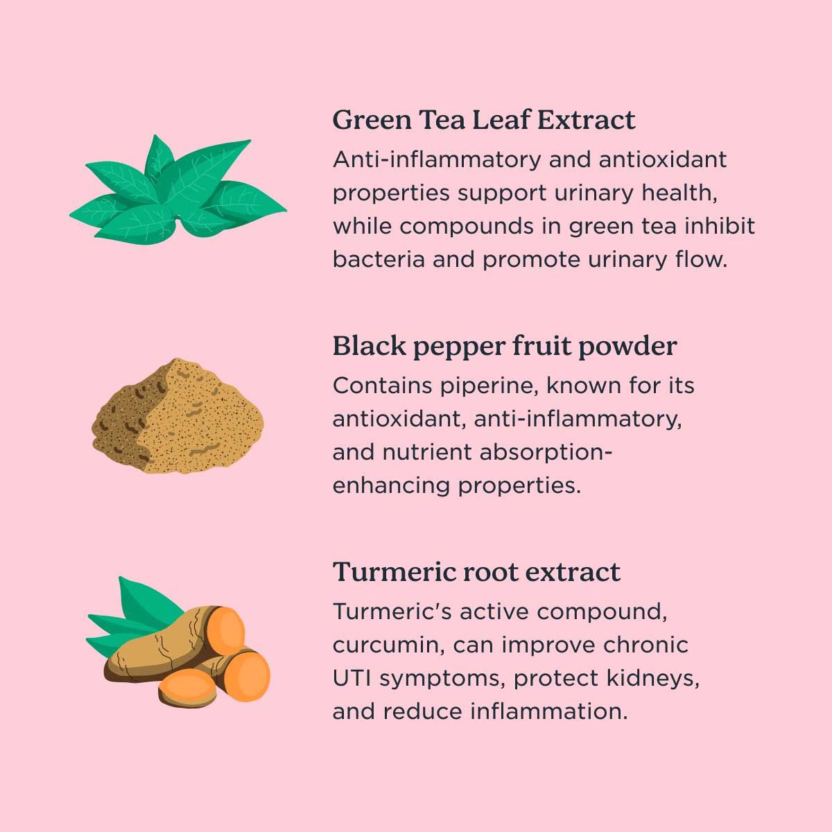 A graphic with ingredient highlights for the Wisp Urinary Tract Cleansing Duo on a pink background