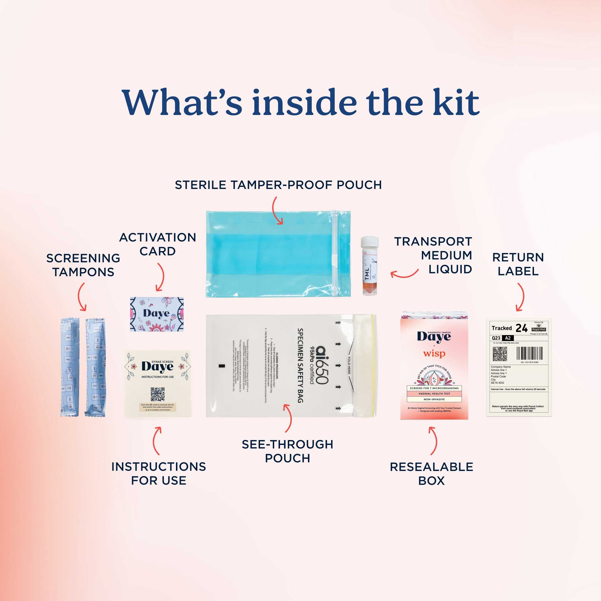 A graphic showing everything that's included in Daye's Vaginal Microbiome Test Kit