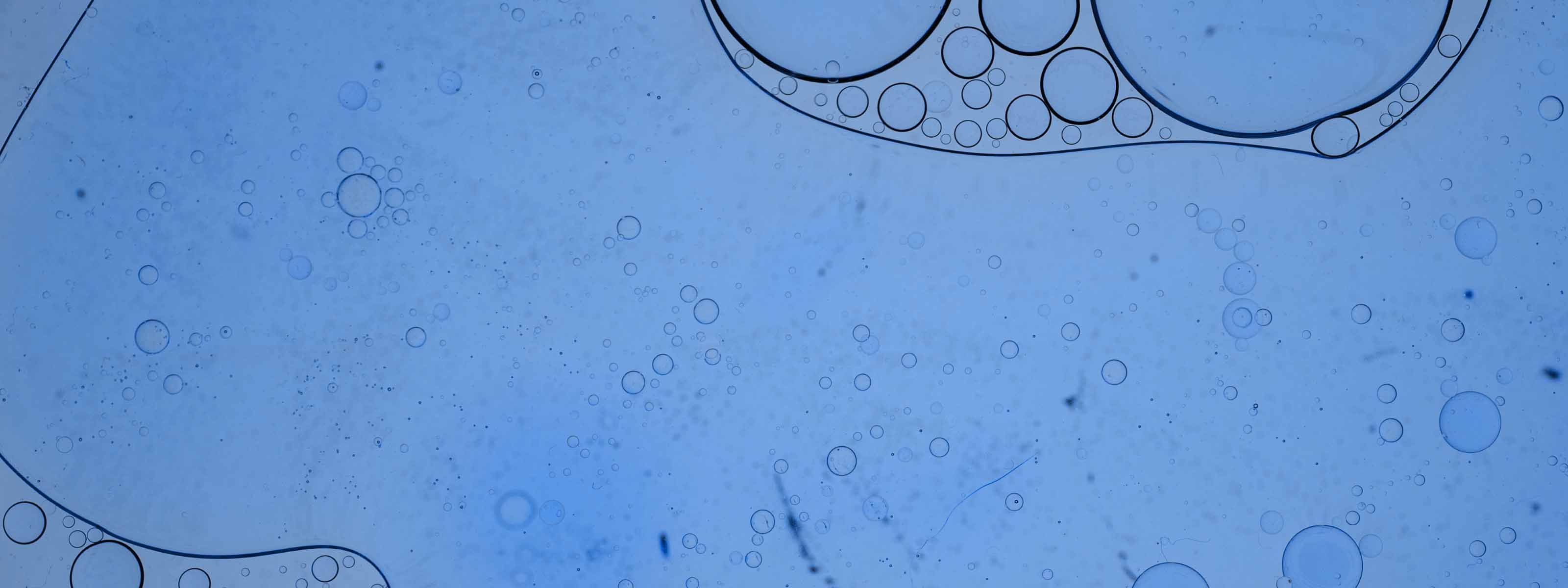 Abstract macro shot of bubbles on blue