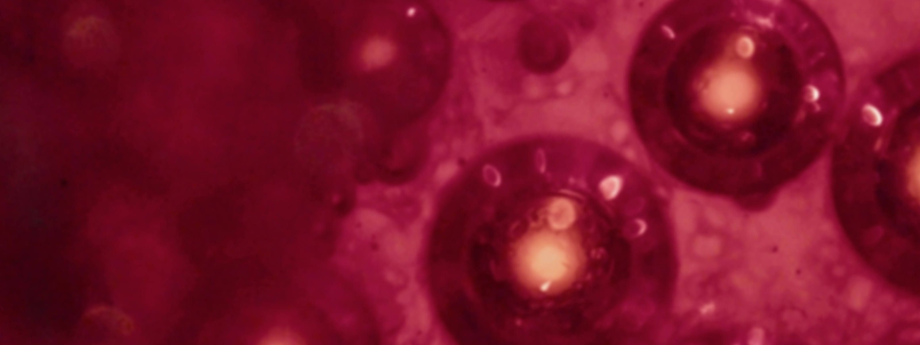 Extreme close-up of translucent bubbles floating in a deep cranberry-red liquid, each bubble catching a warm golden highlight at its center, creating a pattern of glowing orbs against the rich red background.
