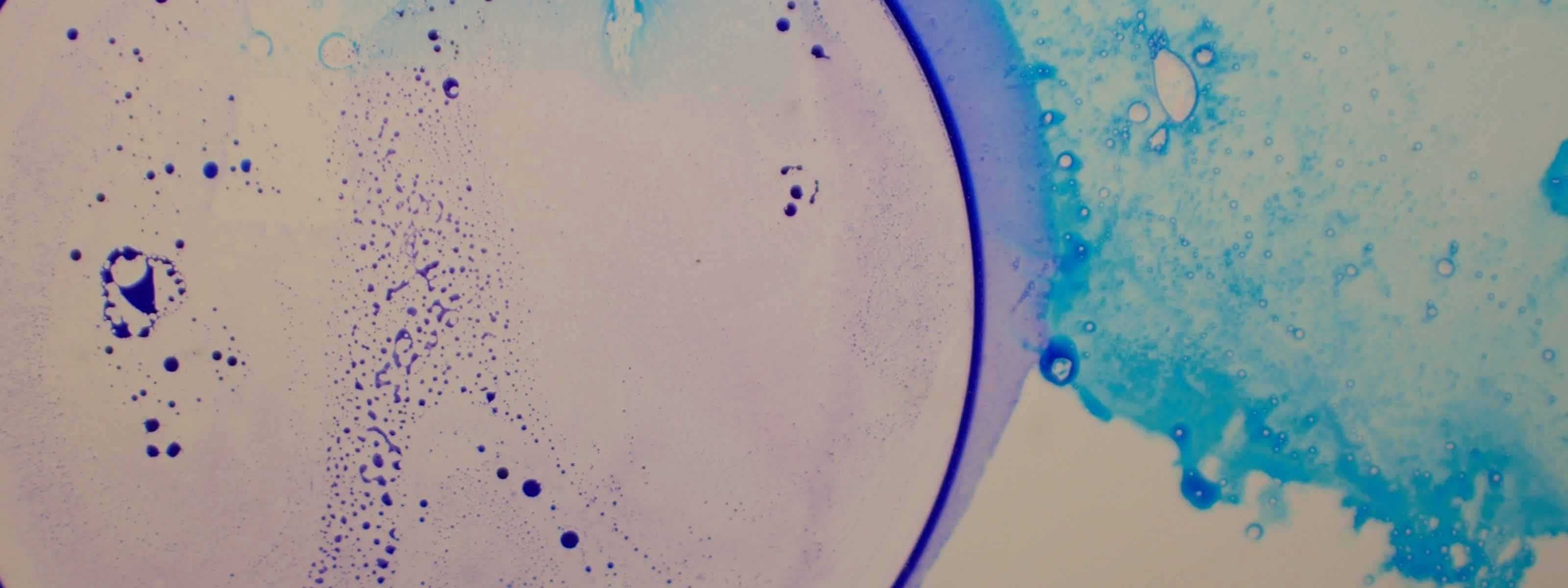 Abstract macro photograph of blue and purple dye droplets dispersing in liquid, resembling a microscopy or petri dish