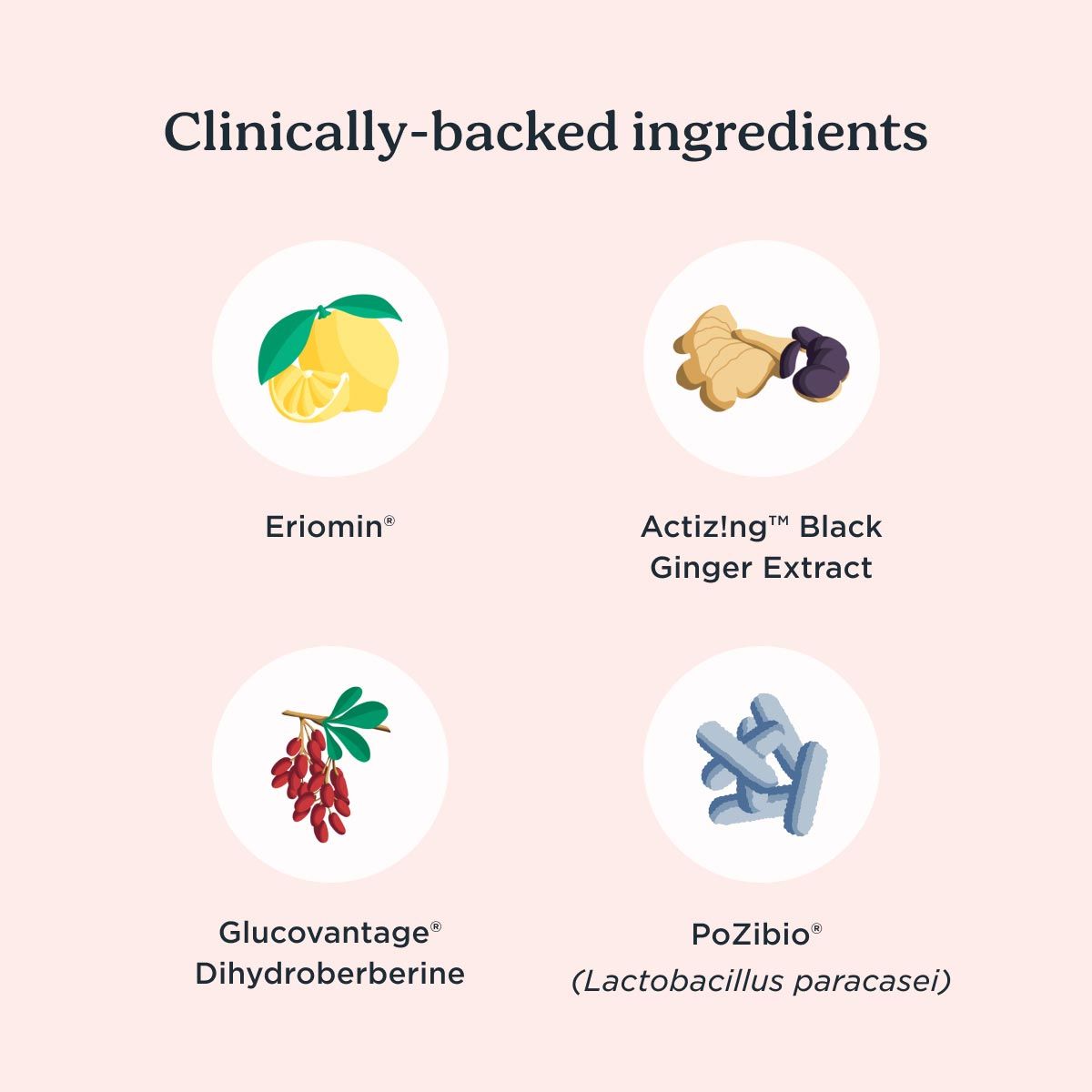 A graphic calling out the primary ingredients in the Wisp Metabolic Support and GLP-1 Boost Supplements on a pink background