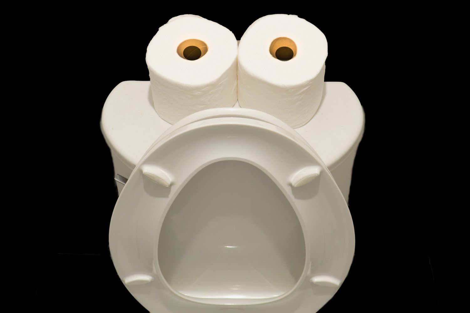 two rolls of toilet paper and an open toilet lid forming a face