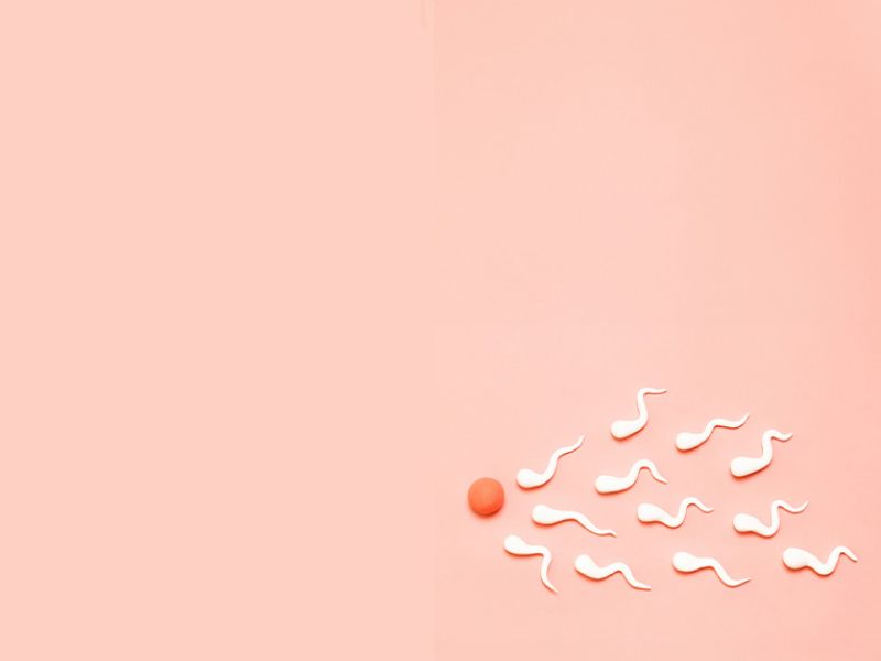 A ball representing a human egg with sperm shapes surrounding it on a light orange background