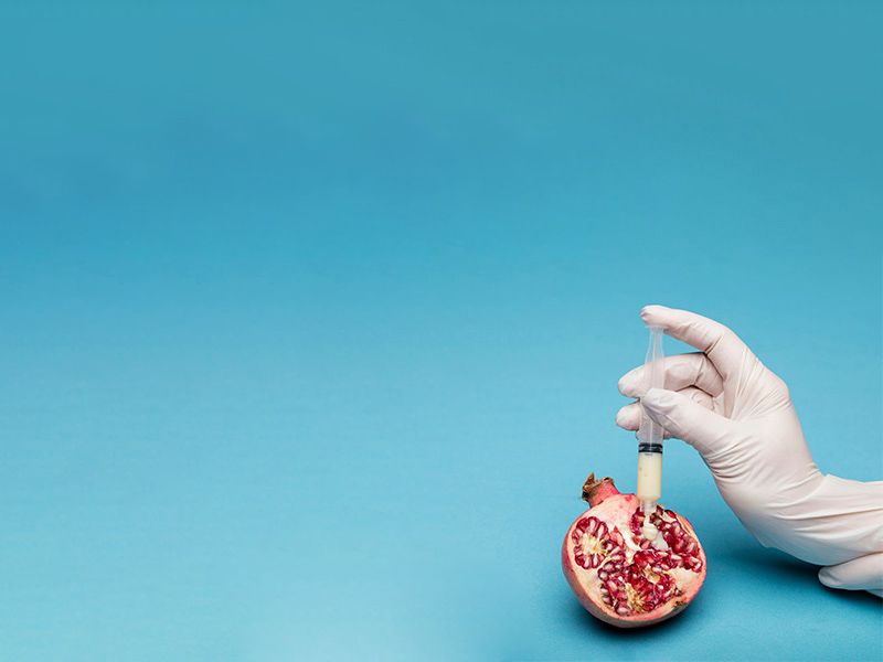 a gloved hand holding a syringe squeezing thick white liquid onto a pomegranate on a blue background