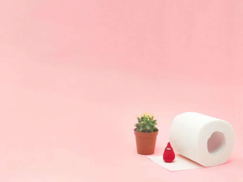 A roll of toilet paper next to a cactus and a stuffed drop of blood indicating anal symptoms