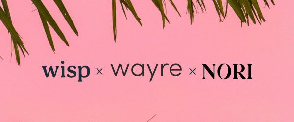 Wisp x Wayre x Nori logos on a palm tree sunset background