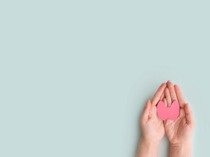A pink thyroid paper cutout in held in a person's hands on a light green surface