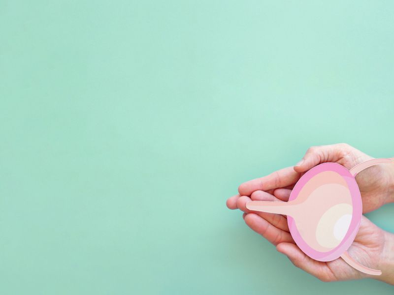 Two hands holding a bladder diagram over a green background