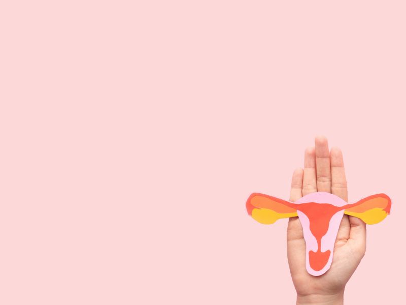 A diagram of female reproductive anatomy in the palm of a hand with a pink background