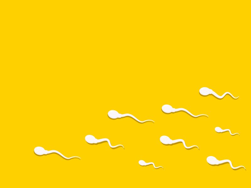 Swimming sperm shapes on a yellow background