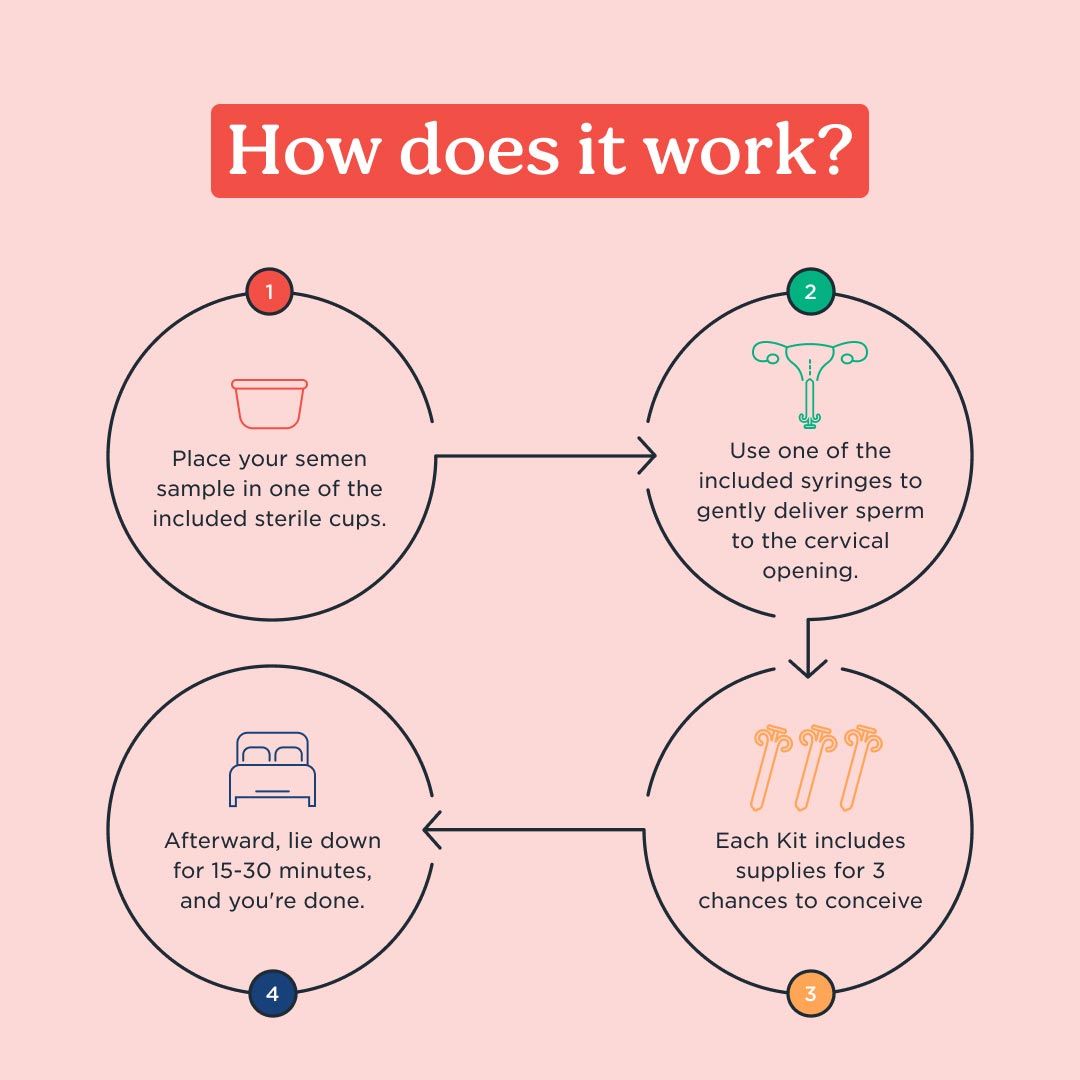 Graphic showing the steps for using the Pherdal at-home insemination kit