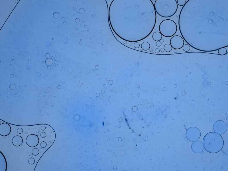 Abstract macro shot of bubbles on blue