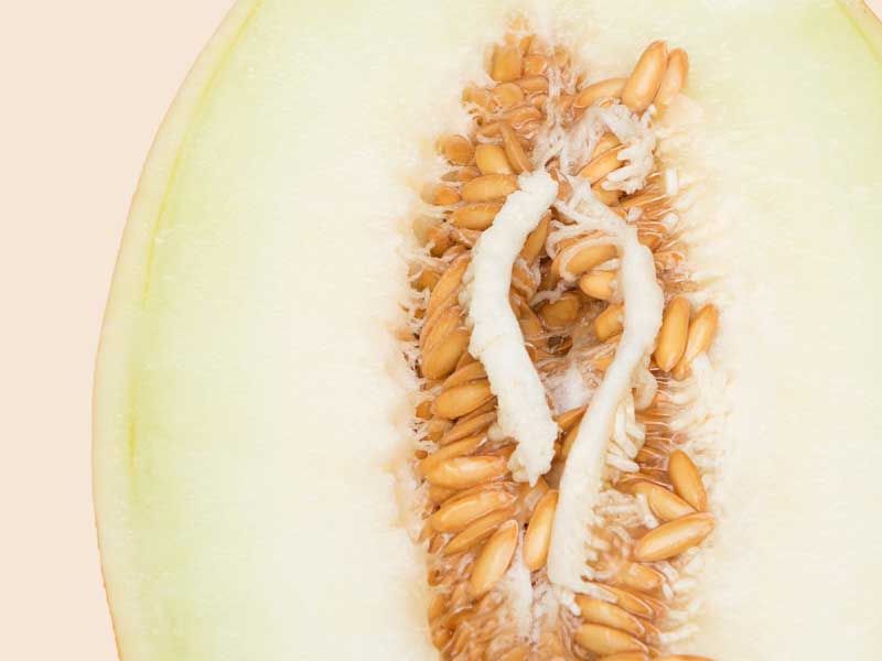 A cut open melon on a yellow background