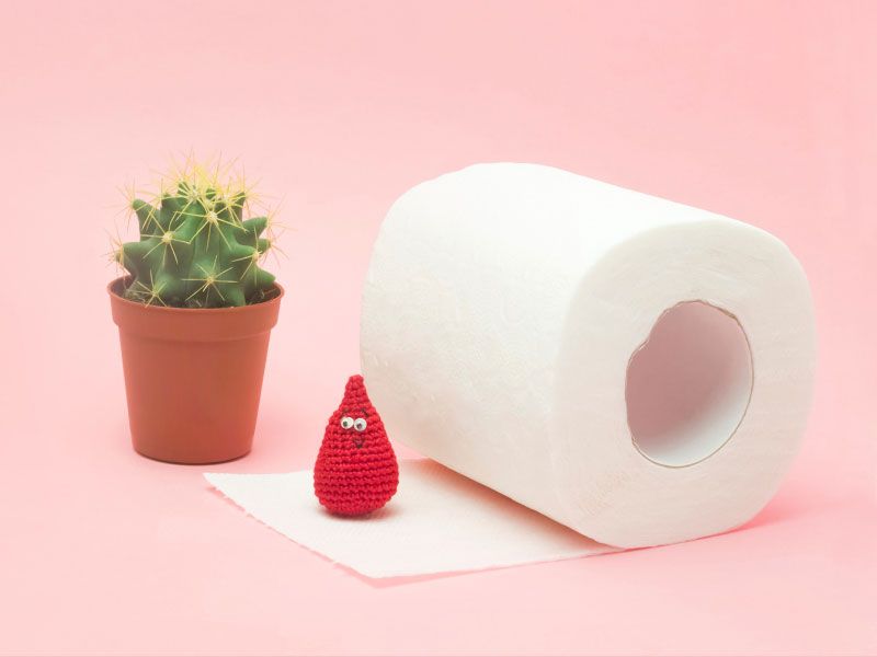 A roll of toilet paper next to a cactus and a stuffed drop of blood indicating anal symptoms