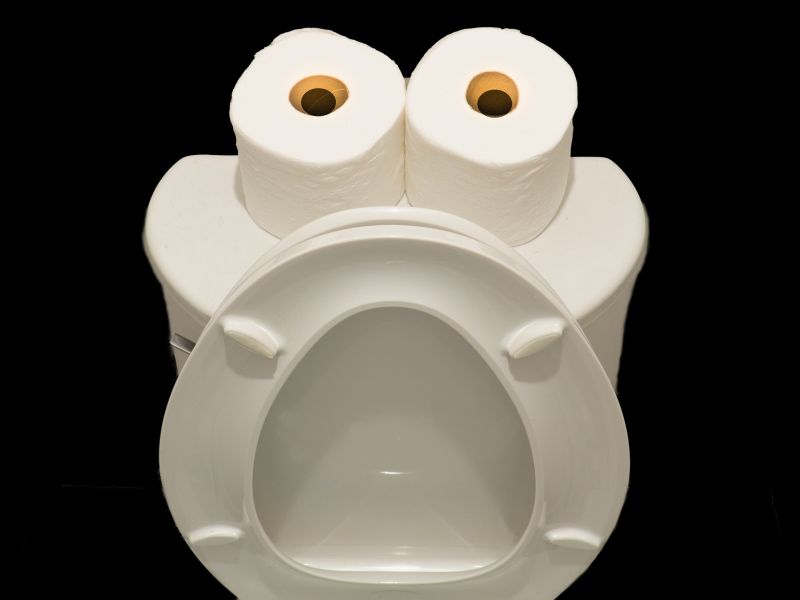 two rolls of toilet paper and an open toilet lid forming a face