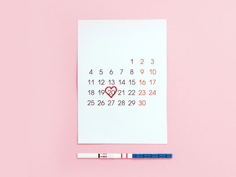 A calendar on a pink surface with a circled date and an ovulation test