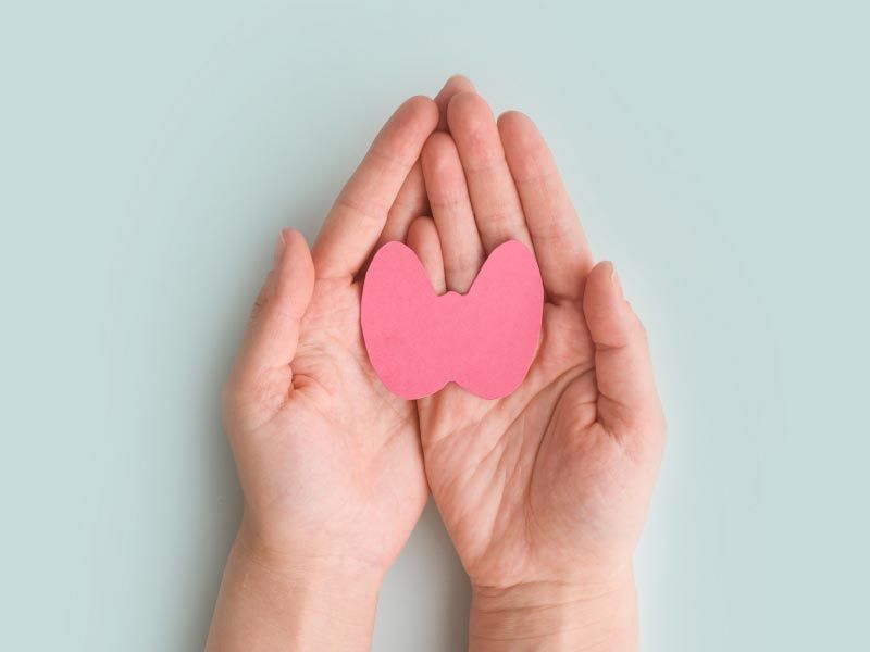 A pink thyroid paper cutout in held in a person's hands on a light green surface