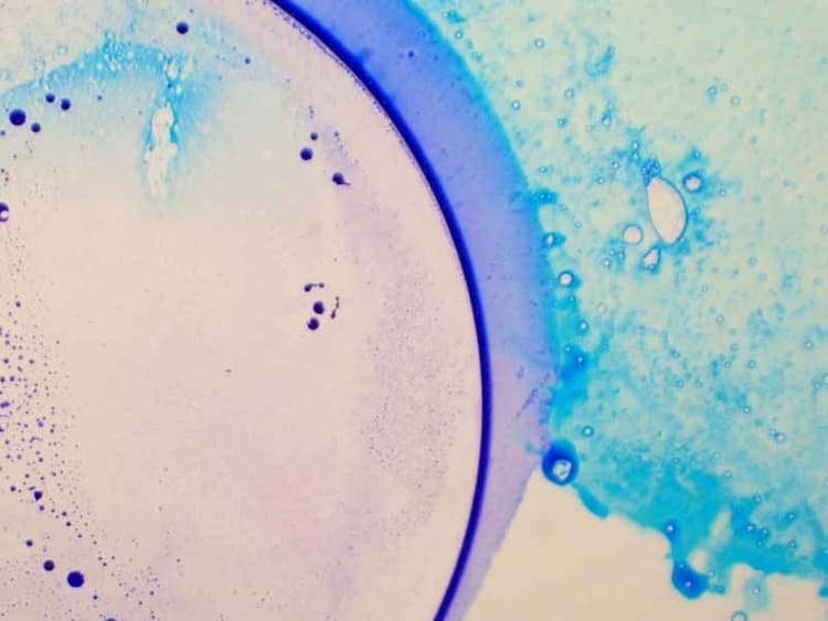 Abstract macro photograph of blue and purple dye droplets dispersing in liquid, resembling a microscopy or petri dish
