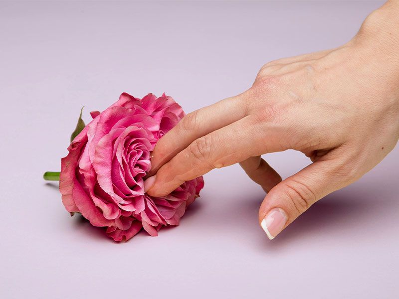 a woman's hand touching a flower suggestively on a lilac background