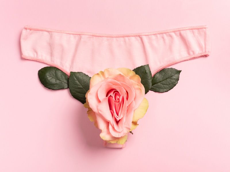 Pair of pink underwear with pink flower on top of it with a light pink background