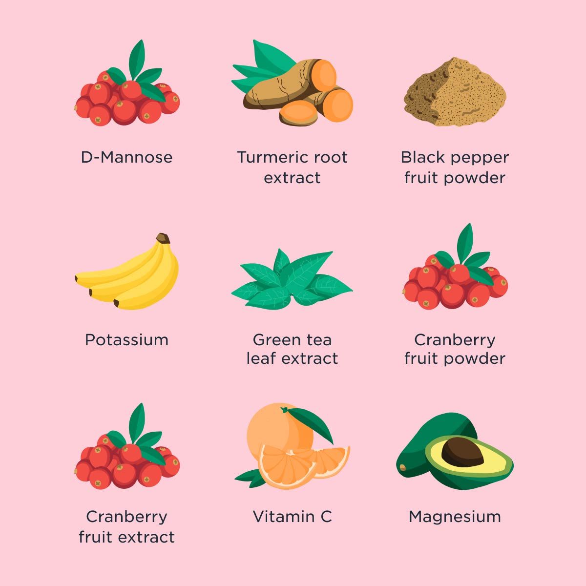 Ingredient highlight graphic for Wisp Urinary Tract Duo with illustrations of each ingredient included