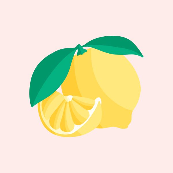 drawing of a lemon