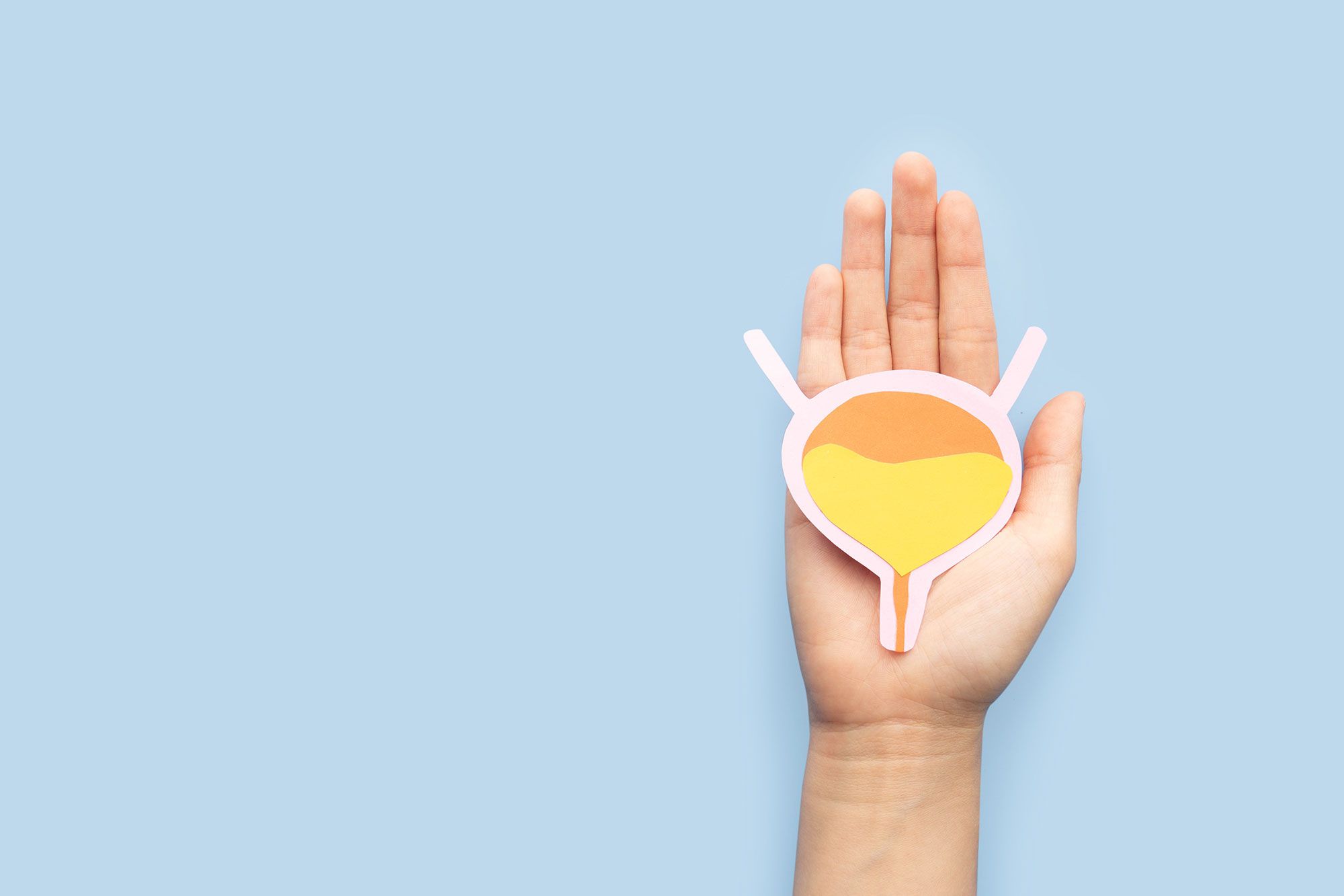 A hand holding a toy uterus on a blue background