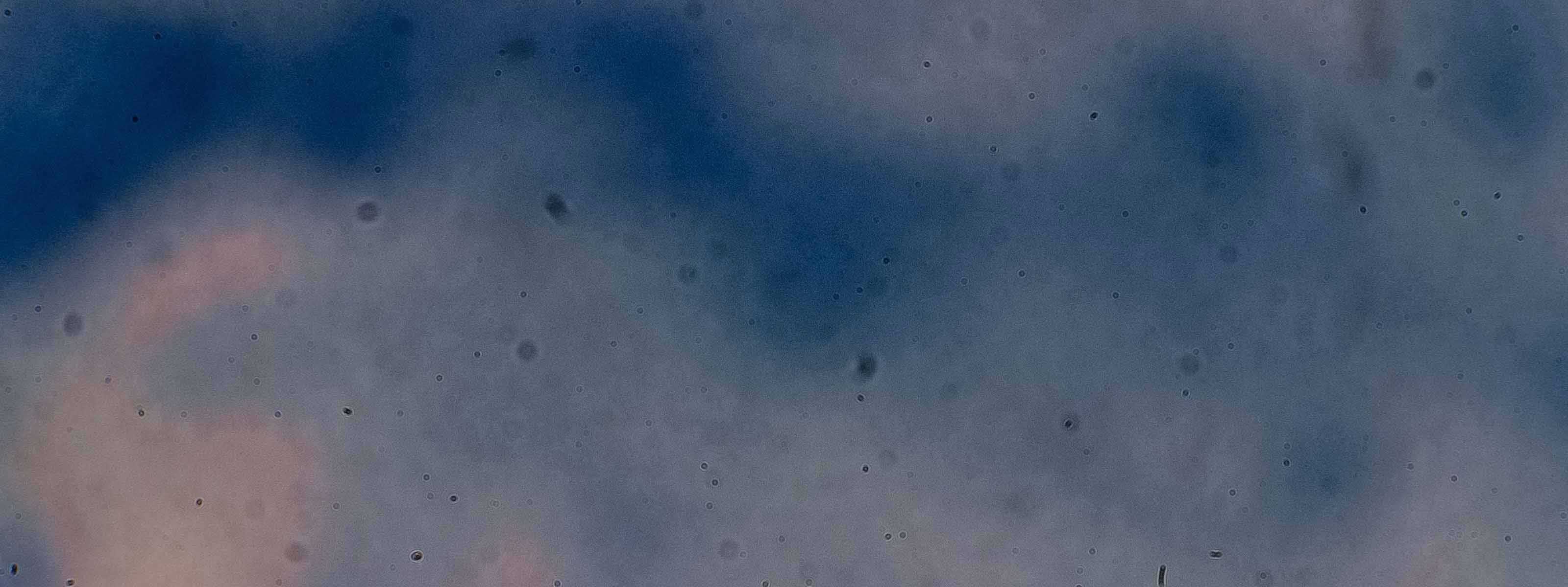 A fuzzy blue and pink abstract scene