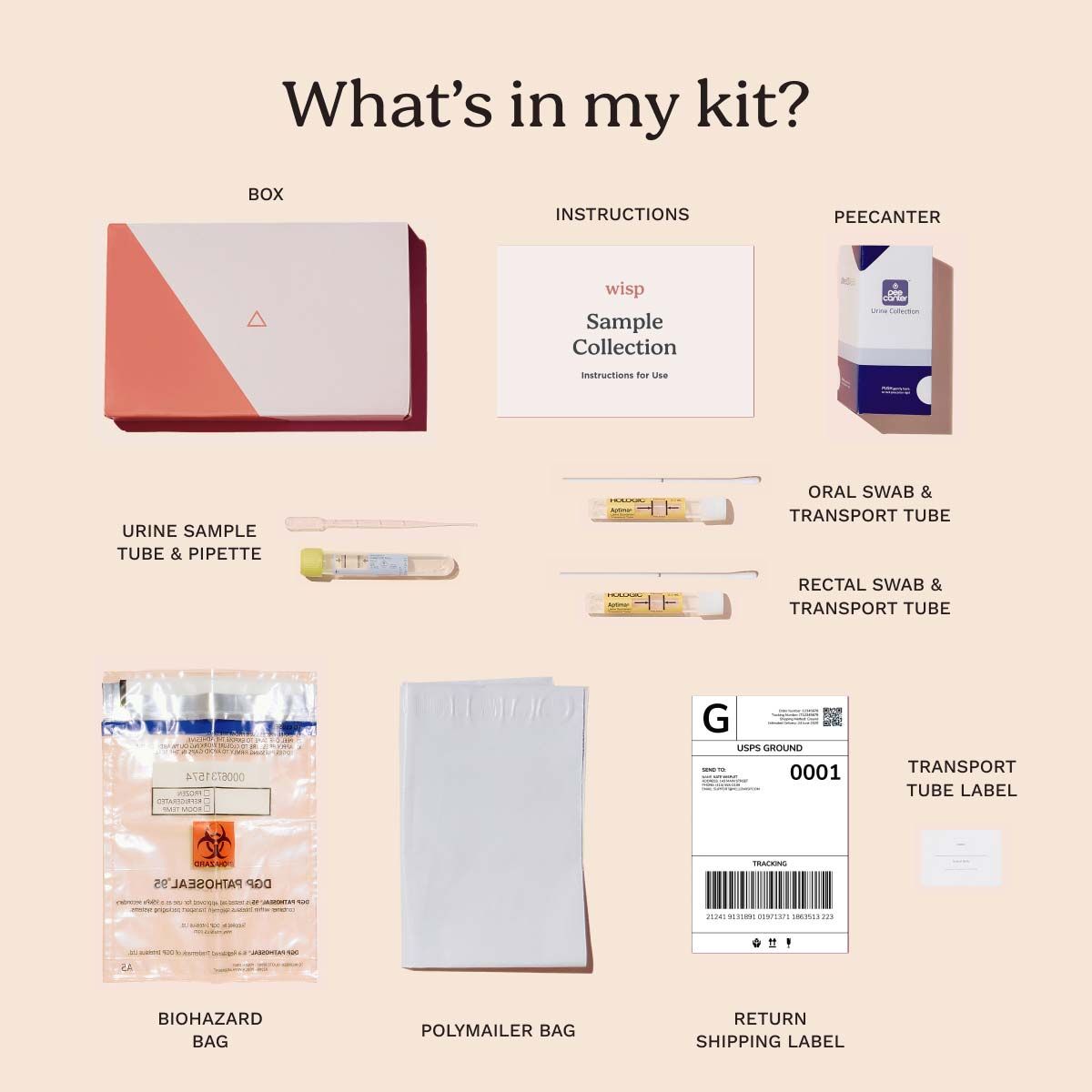 a diagram showing every item in the Wisp at-home urine and swab testing kits
