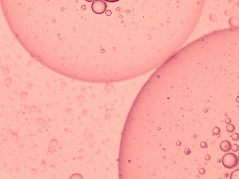 pink bubbles representing a sample through a microscope