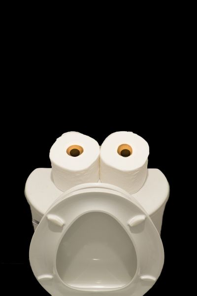 two rolls of toilet paper and an open toilet lid forming a face
