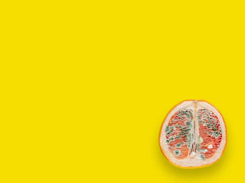 An orange on a yellow surface with mold growing on it indicating sexually transmitted disease