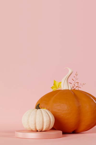 A large orange pumpkin and a small white pumpkin sitting on a pink surface