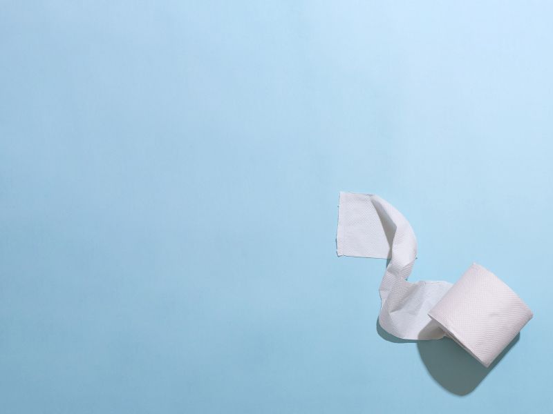 A toilet paper roll on a light blue background