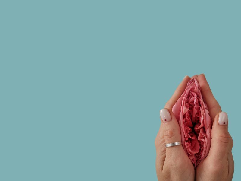 A person's hand holding a flower between it referencing the shape of a vulva on a turquoise background