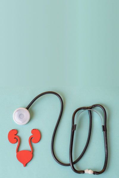 The urinary system and stethoscope on blue-green background