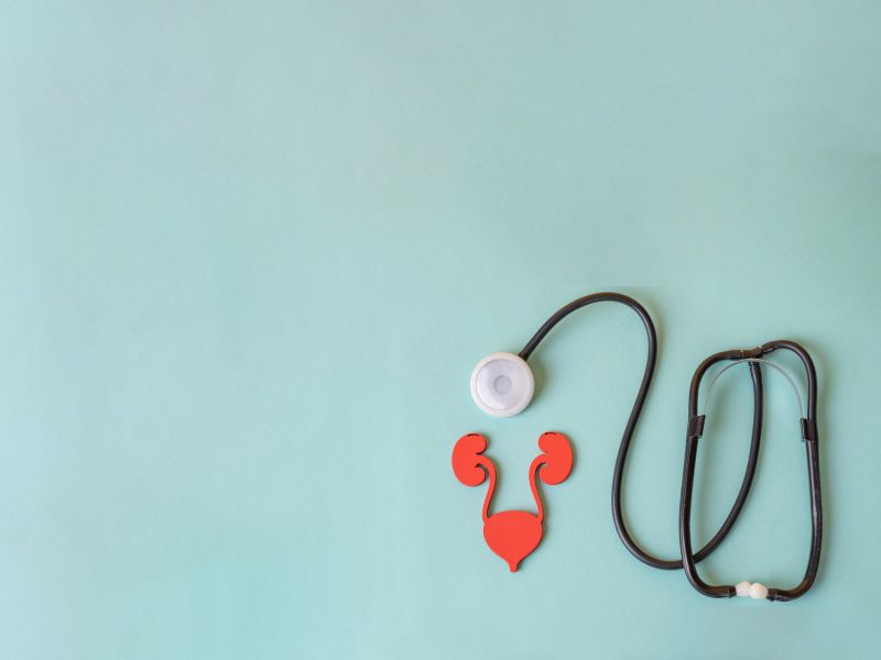 The urinary system and stethoscope on blue-green background