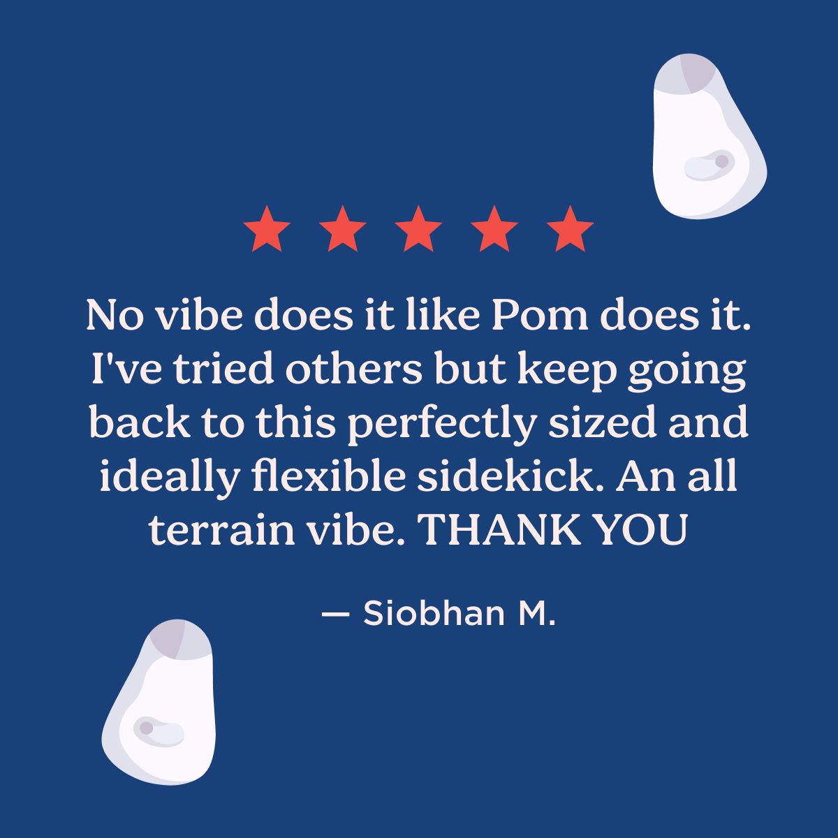 Customer review for Dame Pom Flexible Vibrator with Pom illustrations on a blue background