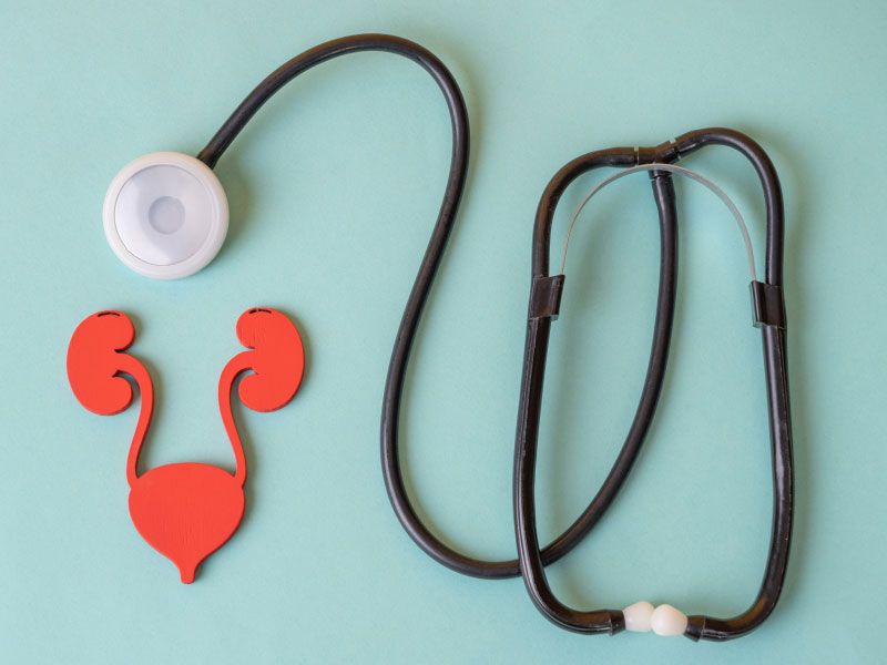 The urinary system and stethoscope on blue-green background