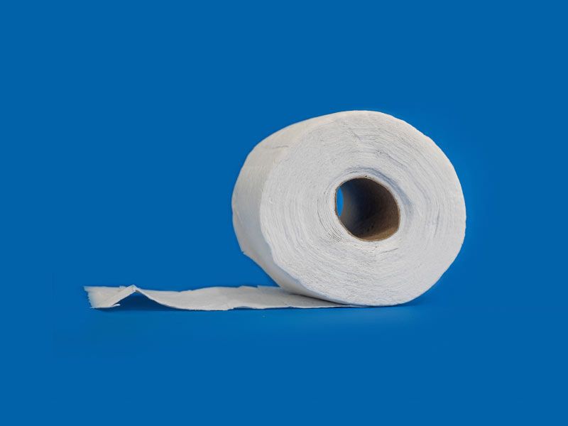 A toilet paper roll on a blue background