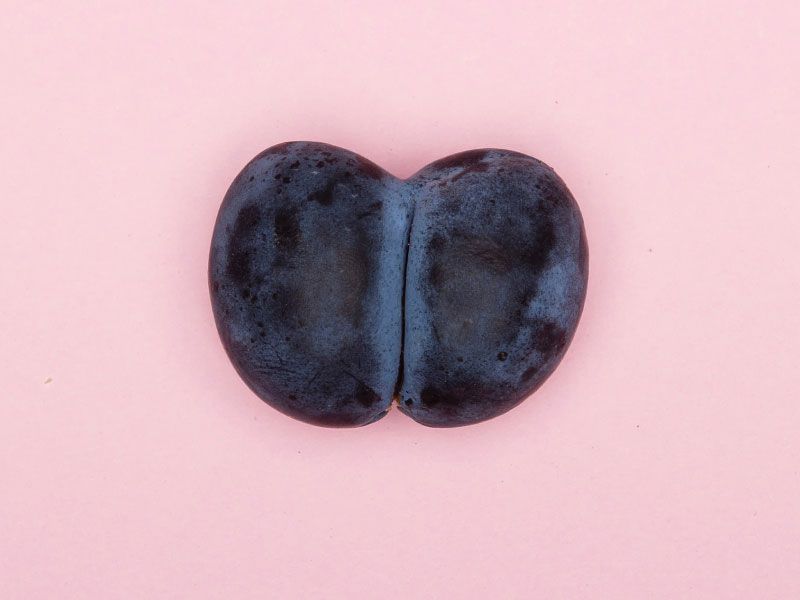 A cut open fruit on a pink background